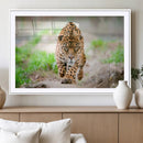 Leopard on the Prowl - Stunning Large Framed Leopard Wall