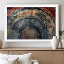 Abstract Tree Ring Wall Art Canvas Print – Colorful Framed