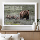 Wildlife Photography of 399 Grizzly Bear Cubs | Queen of the by MyGreatCanvas | Canvas Wall Art Prints | Photo Prints & Wall Decor