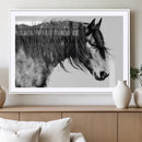 Black Horse Wall Art Canvas Print – Elegant Farmhouse Decor