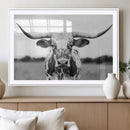 Highland Cow Wall Art Canvas Print – Black and White Western