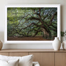 Historic Tree Wall Art – Framed Mossy Branch Canvas Artwork, by MyGreatCanvas | Canvas Wall Art Prints | Photo Prints & Wall Decor