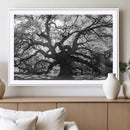 Ancient Oak Wall Art Canvas Print – Gnarled Tree Twisted by MyGreatCanvas | Canvas Wall Art Prints | Photo Prints & Wall Decor