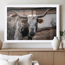 Texas Longhorn Wall Art Canvas Print – Framed Spotted Bull