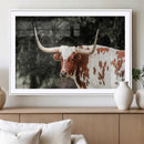 Texas Longhorn Wall Art Canvas Print – Framed Spotted Bull by MyGreatCanvas | Canvas Wall Art Prints | Photo Prints & Wall Decor