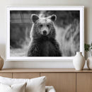 Grizzly Bear Wall Art Canvas Print – Framed Black White