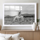 White Horse Wall Art Canvas Print – Framed Woman Rider
