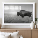 Bison Wall Art Canvas Print – Framed Rustic Wildlife Scene by MyGreatCanvas | Canvas Wall Art Prints | Photo Prints & Wall Decor
