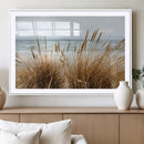 Beach Grass Wall Art – Framed Coastal Dunes Canvas Artwork, by MyGreatCanvas | Canvas Wall Art Prints | Photo Prints & Wall Decor