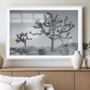Joshua Tree Wall Art Canvas Print – Framed Black White