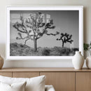 Joshua Tree Wall Art Canvas Print – Framed Monochrome Desert