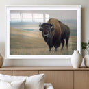 Bison Wall Art Canvas Print – Framed Buffalo American Bison