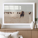 Bison Herd Wall Art Canvas Print – Framed Western Prairie