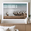 Elk Herd Wall Art Canvas Print – Framed Wildlife Photography