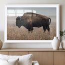 American Bison Wall Art Canvas Print – Majestic Buffalo