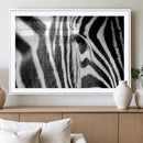 Zebra Stripes Wall Art Canvas Print – Black White Contrast by MyGreatCanvas | Canvas Wall Art Prints | Photo Prints & Wall Decor