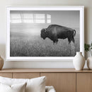Black White Bison Canvas Wall Art, Rustic American Buffalo by MyGreatCanvas | Canvas Wall Art Prints | Photo Prints & Wall Decor