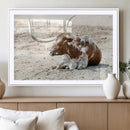 Majestic Longhorn Wall Art Canvas Print – Resting on Sunlit by MyGreatCanvas | Canvas Wall Art Prints | Photo Prints & Wall Decor