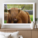Highland Cow Wall Art Canvas Print, Long Hair Rustic Farm by MyGreatCanvas | Canvas Wall Art Prints | Photo Prints & Wall Decor
