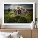 Grazing Cattle Herd Pasture Green Field Livestock Natural by MyGreatCanvas | Canvas Wall Art Prints | Photo Prints & Wall Decor