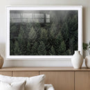 Dense Evergreen Forest Misty Morning Fog Pine Trees Woodland by MyGreatCanvas | Canvas Wall Art Prints | Photo Prints & Wall Decor