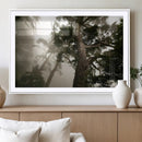 Misty Forest Canvas, Tall Trees Foggy Atmosphere Nature by MyGreatCanvas | Canvas Wall Art Prints | Photo Prints & Wall Decor