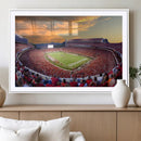 Dooley Stadium Wall Art, Sports Arena Canvas Print, Dooley by MyGreatCanvas | Canvas Wall Art Prints | Photo Prints & Wall Decor