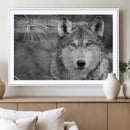 Wild Wolf Blue Eye Wall Art Canvas Print