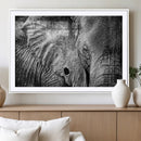 Wild Old Elephant Wall Art Canvas Print