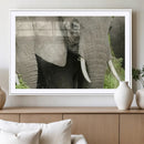 Wild Elephant Wall Art Canvas Print by MyGreatCanvas | Canvas Wall Art Prints | Photo Prints & Wall Decor