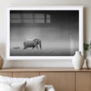 Elephand and Zebra Wall Art Canvas Print, Modern Artwork