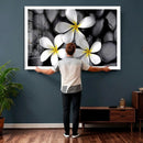 Plumeria Frangipani Black Stone Canvas | White Flower Spa by MyGreatCanvas | Canvas Wall Art Prints | Photo Prints & Wall Decor