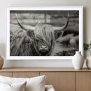 Cow Focus Canvas Wall Art Print by MyGreatCanvas | Canvas Wall Art Prints | Photo Prints & Wall Decor