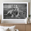 King Forest Lion Wall Art Canvas Print – Framed Majestic by MyGreatCanvas | Canvas Wall Art Prints | Photo Prints & Wall Decor