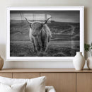 Fluffy Cattle Wall Art Print, Highland Cow Canvas, Framed by MyGreatCanvas | Canvas Wall Art Prints | Photo Prints & Wall Decor