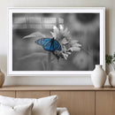 Blue Butterfly Black and White Canvas Wall Art by MyGreatCanvas | Canvas Wall Art Prints | Photo Prints & Wall Decor