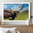 Longhorn and Cow Wall Art, Country Cow Wall Decor Canvas by MyGreatCanvas | Canvas Wall Art Prints | Photo Prints & Wall Decor