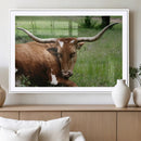 Longhorn Cow Animal Wall Art Canvas Print by MyGreatCanvas | Canvas Wall Art Prints | Photo Prints & Wall Decor