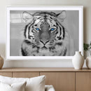 Black and White Tiger Wall Art Animal Canvas Print