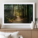 Natural Landscape Wall Art Relaxing Forest Canvas Print