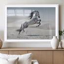 Prancing Horse Desert Large Wall Art Canvas Print – Majestic