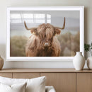 Scottish Serene Highland Cow Canvas Wall Art – Serene