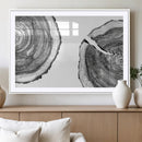 Abstract Large Tree Rings – Minimalist Black and White Wood