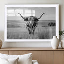 Texas Cow Longhorn Wall Art Canvas Print for Farm House Wall