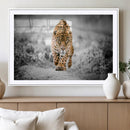 Jaguar Wall Art Canvas Print - Majestic Big Cat in Focused by MyGreatCanvas | Canvas Wall Art Prints | Photo Prints & Wall Decor