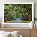 Wormsloe State Plantation Driveway Wall Art Canvas Print by MyGreatCanvas | Canvas Wall Art Prints | Photo Prints & Wall Decor