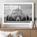 Resting Grizzly Bear Wall Art Canvas Print – Majestic Lazy by MyGreatCanvas | Canvas Wall Art Prints | Photo Prints & Wall Decor