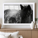 Black Horse in Snow Canvas Print | Winter Horse Wall Art |
