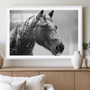 Horse Canvas Print - Winter Horse Snow Wall Art Canvas Print