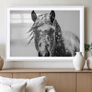 Western Wall Art | Black and White Winter Horse Wall Art | by MyGreatCanvas | Canvas Wall Art Prints | Photo Prints & Wall Decor